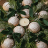 EcoGlow – Ρεσώ 4 ωρών Kourampies