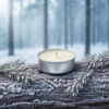 EcoGlow – Ρεσώ 4 ωρών Merry Frost