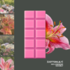 candlejuice.gr Snap Bar-Cotton Lily