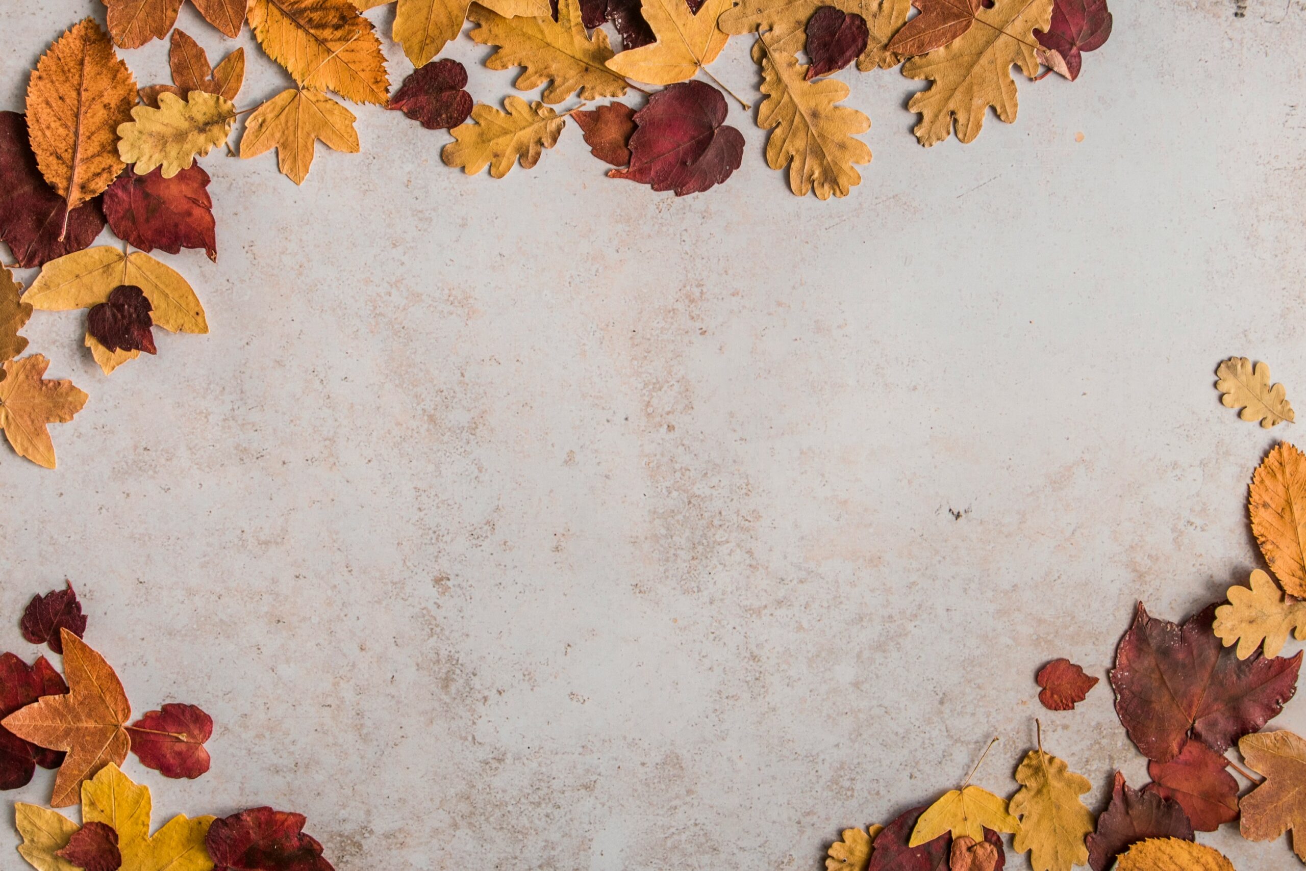 marion botella rII0mAgBHpY unsplash scaled